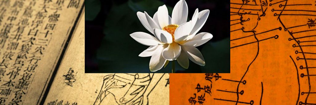 Acupuncture and acupressure treatments for Space Coast, Melbourne FL